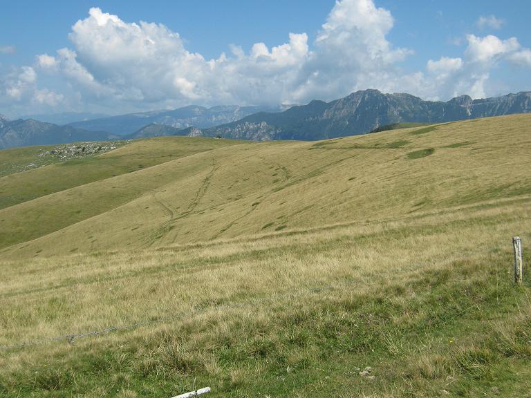 Immagine 44.jpg